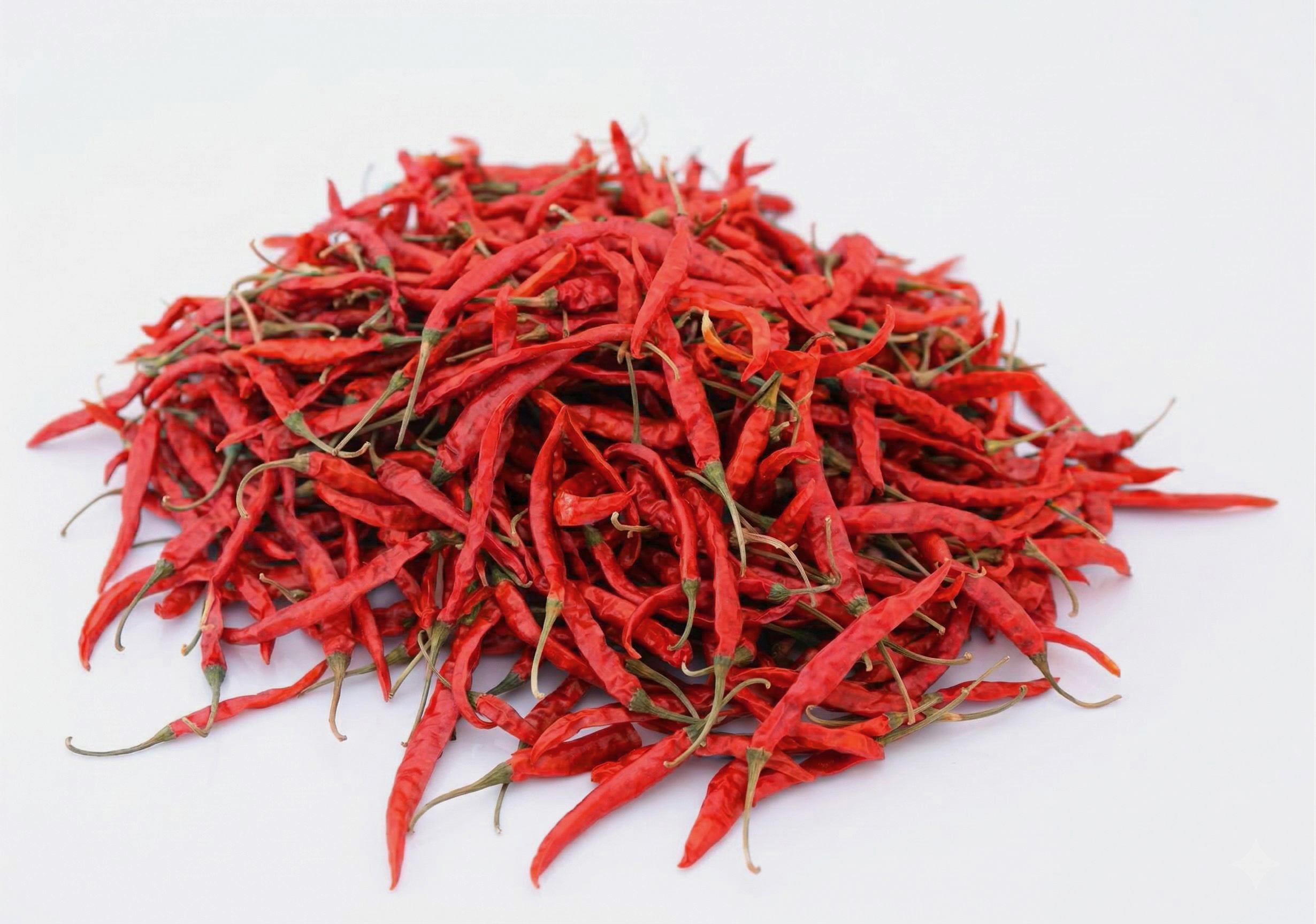 Teja S17 Chilli Close Up